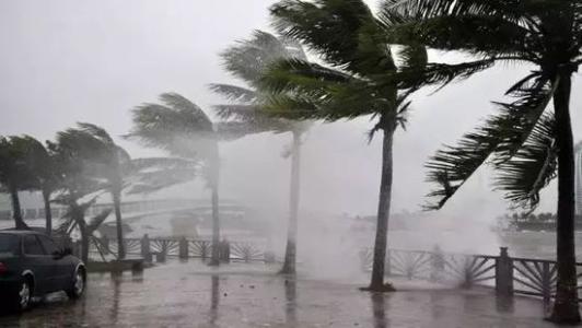 8月臺(tái)風(fēng)雨即將來，除濕機(jī)還得用起來