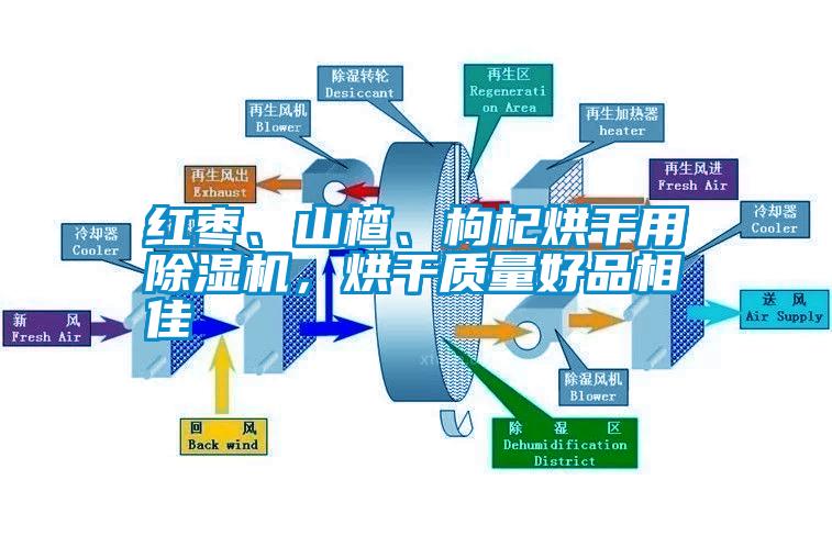 紅棗、山楂、枸杞烘干用除濕機(jī)，烘干質(zhì)量好品相佳