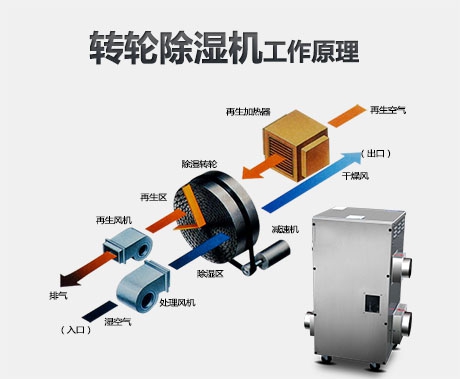 如何買到高性價比除濕機？看完這里你就懂了