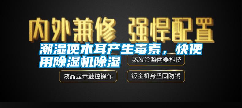 潮濕使木耳產生毒素，快使用除濕機除濕