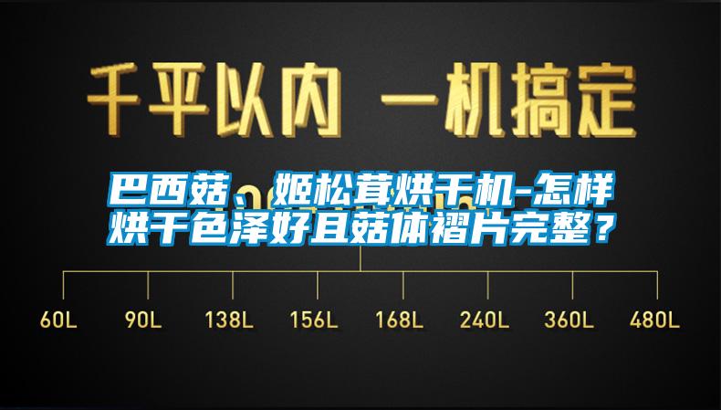 巴西菇、姬松茸烘干機(jī)-怎樣烘干色澤好且菇體褶片完整？