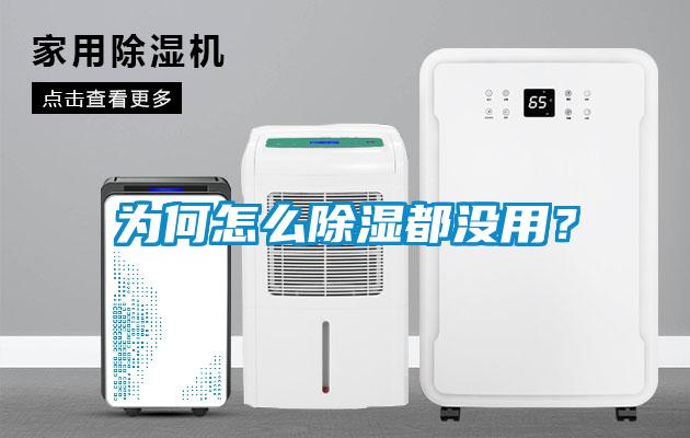 為何怎么除濕都沒(méi)用？