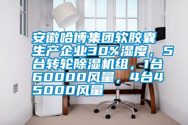 安徽哈博集團軟膠囊生產企業(yè)30%濕度，5臺轉輪除濕機組，1臺60000風量，4臺45000風量