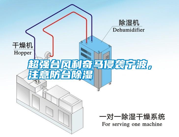 超強(qiáng)臺(tái)風(fēng)利奇馬侵襲寧波，注意防臺(tái)除濕