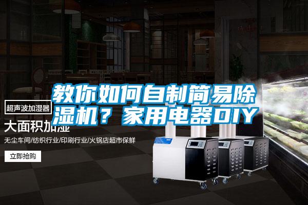 教你如何自制簡易除濕機？家用電器DIY