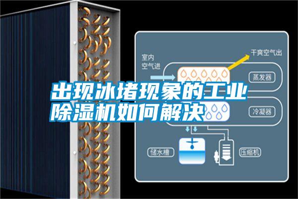 出現(xiàn)冰堵現(xiàn)象的工業(yè)除濕機如何解決