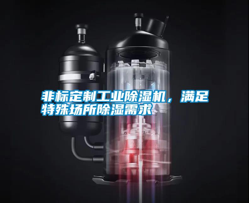 非標定制工業(yè)除濕機，滿足特殊場所除濕需求