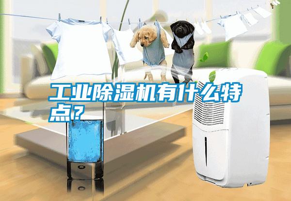 工業(yè)除濕機有什么特點？