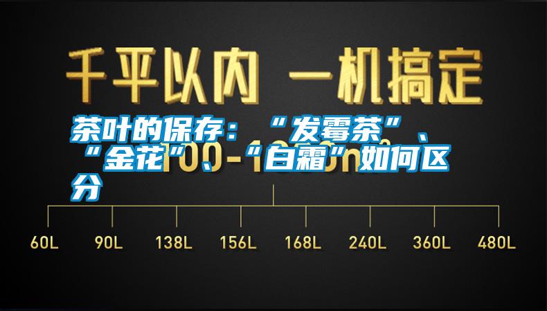 茶葉的保存：“發(fā)霉茶”、“金花”、“白霜”如何區(qū)分