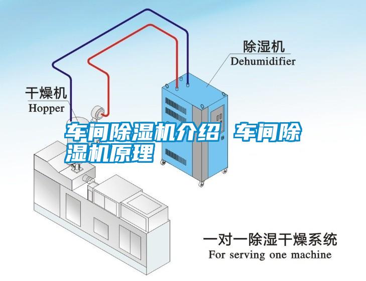 車間除濕機(jī)介紹 車間除濕機(jī)原理