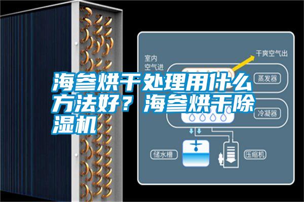 海參烘干處理用什么方法好？海參烘干除濕機(jī)