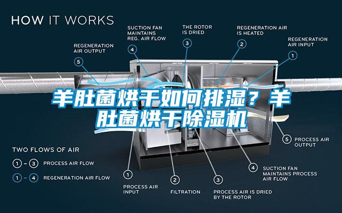 羊肚菌烘干如何排濕？羊肚菌烘干除濕機