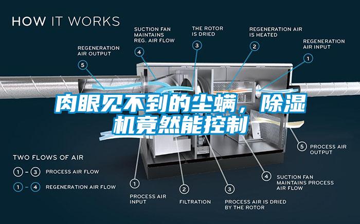 肉眼見不到的塵螨，除濕機(jī)竟然能控制