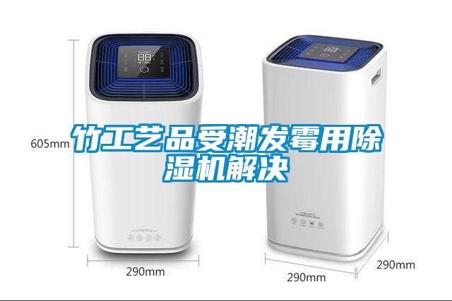 竹工藝品受潮發(fā)霉用除濕機(jī)解決