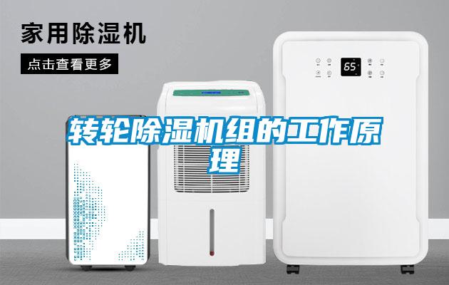 轉輪除濕機組的工作原理