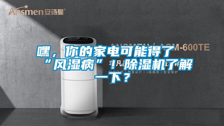 嘿，你的家電可能得了“風(fēng)濕病”！除濕機(jī)了解一下？