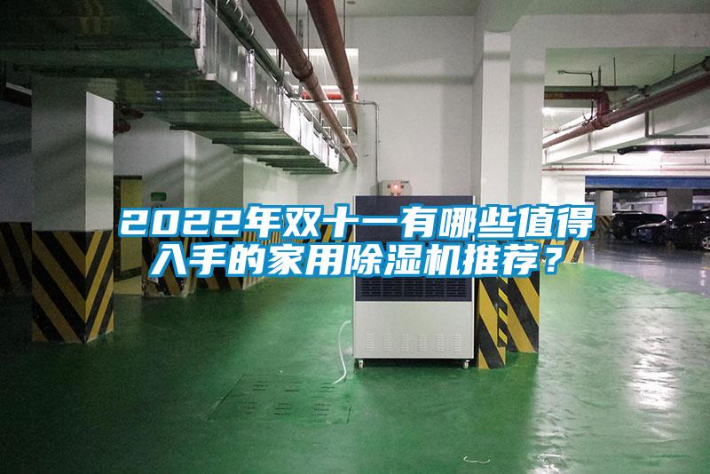 2022年雙十一有哪些值得入手的家用除濕機推薦？