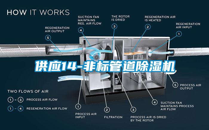 供應(yīng)14-非標(biāo)管道除濕機