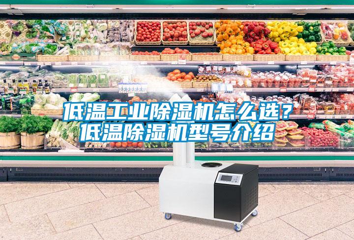 低溫工業(yè)除濕機(jī)怎么選？低溫除濕機(jī)型號介紹