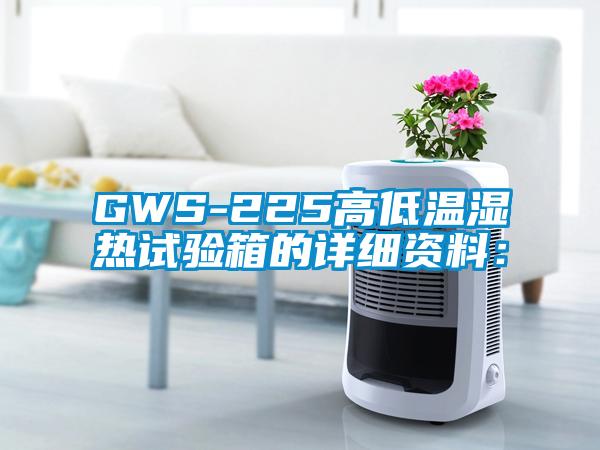 GWS-225高低溫濕熱試驗箱的詳細(xì)資料：