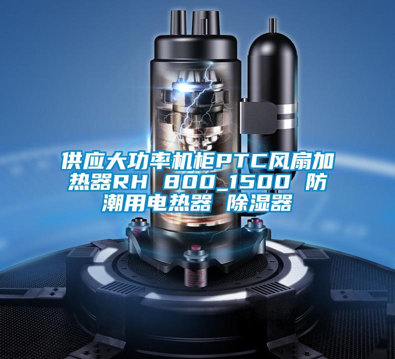 供應(yīng)大功率機(jī)柜PTC風(fēng)扇加熱器RH 800_1500 防潮用電熱器 除濕器