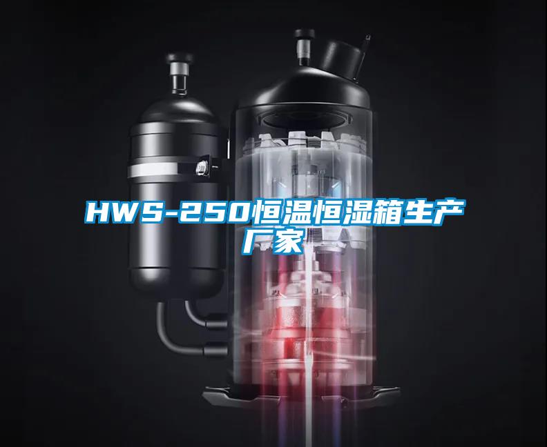 HWS-250恒溫恒濕箱生產(chǎn)廠家