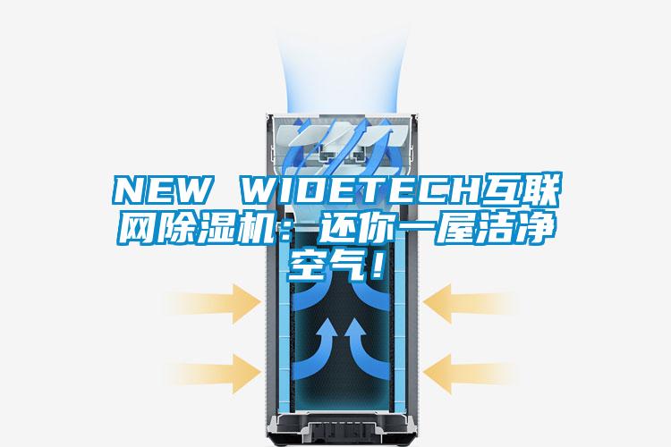 NEW WIDETECH互聯(lián)網(wǎng)除濕機(jī)：還你一屋潔凈空氣！