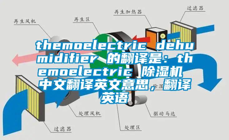 themoelectric dehumidifier 的翻譯是：themoelectric 除濕機 中文翻譯英文意思，翻譯英語