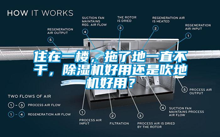 住在一樓，拖了地一直不干，除濕機(jī)好用還是吹地機(jī)好用？