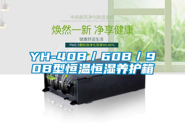 YH-40B／60B／90B型恒溫恒濕養(yǎng)護箱