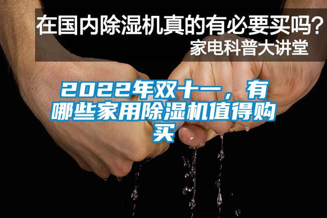 2022年雙十一，有哪些家用除濕機值得購買