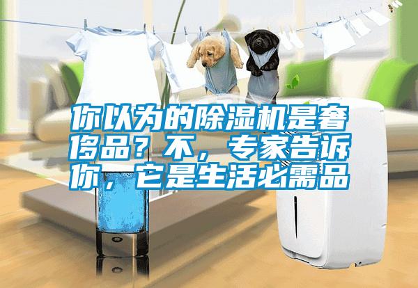 你以為的除濕機是奢侈品？不，專家告訴你，它是生活必需品