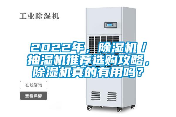 2022年，除濕機／抽濕機推薦選購攻略，除濕機真的有用嗎？