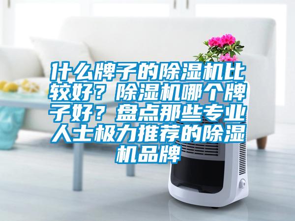 什么牌子的除濕機比較好？除濕機哪個牌子好？盤點那些專業(yè)人士極力推薦的除濕機品牌