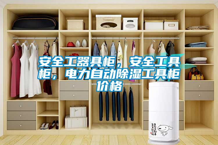 安全工器具柜，安全工具柜，電力自動除濕工具柜價格