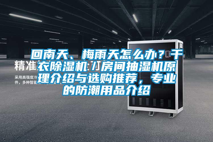 回南天、梅雨天怎么辦？干衣除濕機(jī)／房間抽濕機(jī)原理介紹與選購(gòu)?fù)扑]，專業(yè)的防潮用品介紹