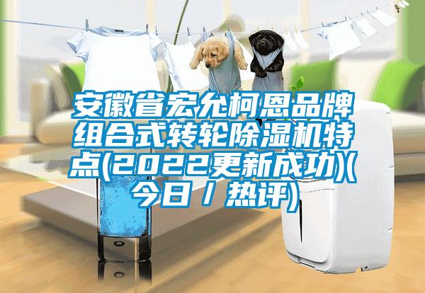 安徽省宏允柯恩品牌組合式轉輪除濕機特點(2022更新成功)(今日／熱評)