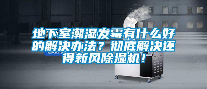 地下室潮濕發(fā)霉有什么好的解決辦法？徹底解決還得新風(fēng)除濕機(jī)！