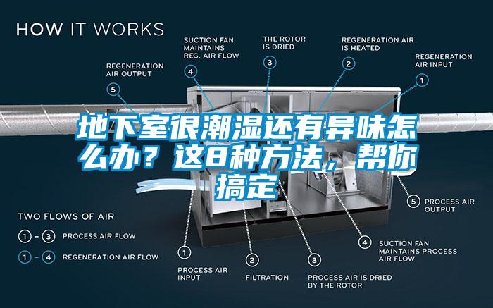 地下室很潮濕還有異味怎么辦？這8種方法，幫你搞定