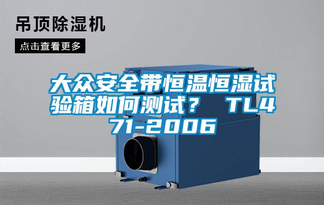 大眾安全帶恒溫恒濕試驗箱如何測試？ TL471-2006