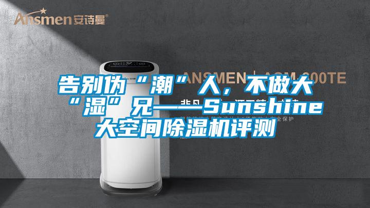 告別偽“潮”人，不做大“濕”兄——Sunshine大空間除濕機評測