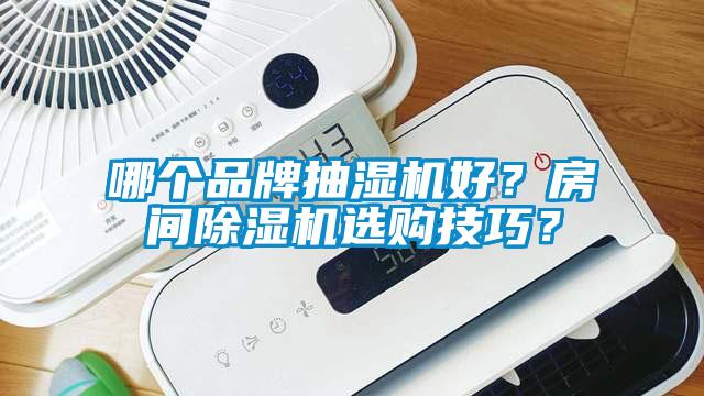 哪個(gè)品牌抽濕機(jī)好？房間除濕機(jī)選購技巧？