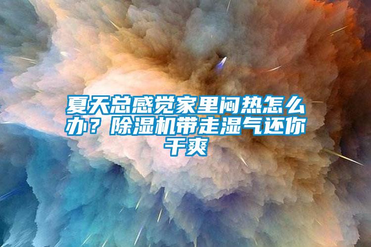 夏天總感覺家里悶熱怎么辦？除濕機帶走濕氣還你干爽