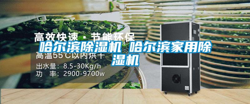 哈爾濱除濕機◆哈爾濱家用除濕機