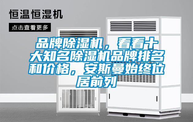 品牌除濕機，看看十大知名除濕機品牌排名和價格，安斯曼始終位居前列