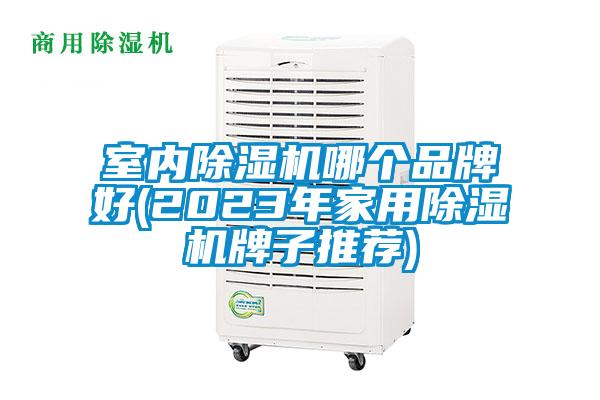 室內(nèi)除濕機(jī)哪個(gè)品牌好(2023年家用除濕機(jī)牌子推薦)