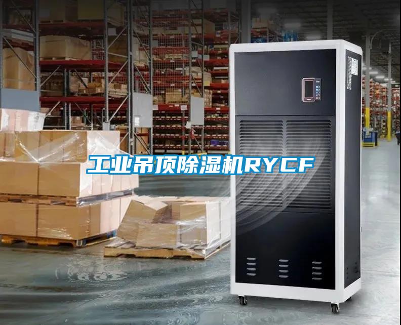 工業(yè)吊頂除濕機RYCF