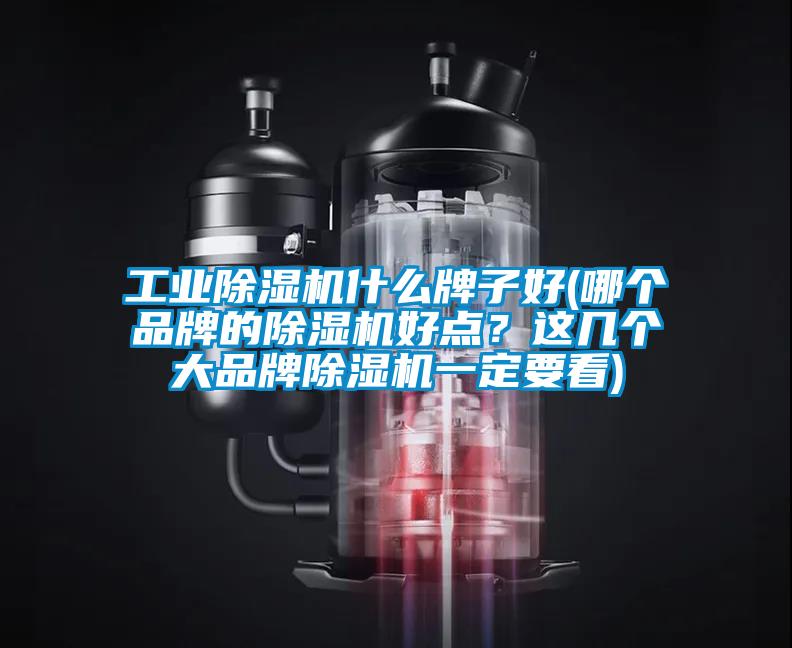 工業(yè)除濕機(jī)什么牌子好(哪個品牌的除濕機(jī)好點(diǎn)？這幾個大品牌除濕機(jī)一定要看)