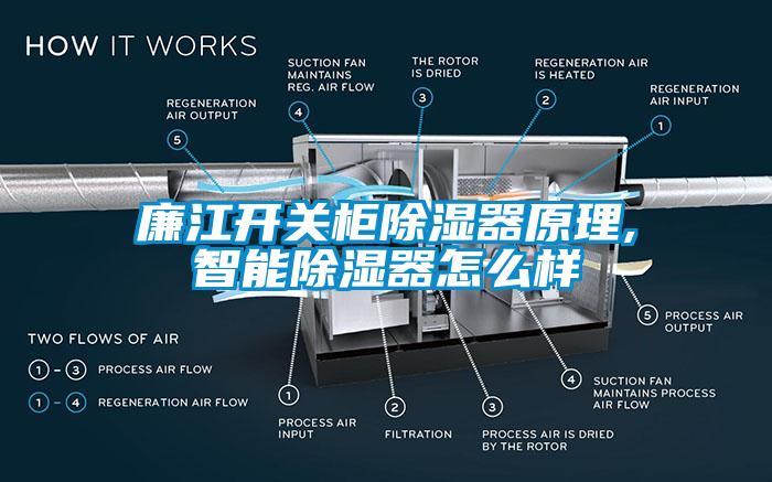 廉江開關(guān)柜除濕器原理,智能除濕器怎么樣