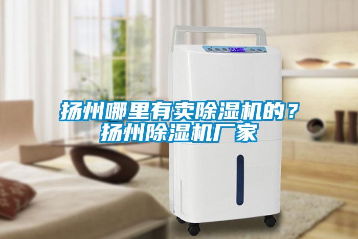 揚(yáng)州哪里有賣(mài)除濕機(jī)的？揚(yáng)州除濕機(jī)廠家